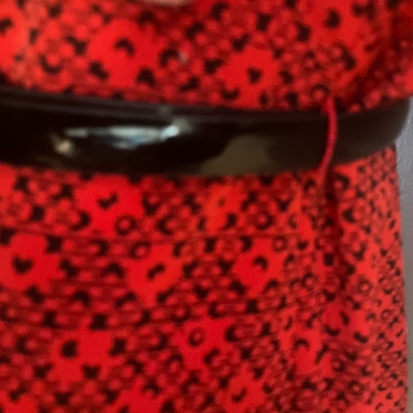 The Limited Ashton Dress - Picture 7 of 8